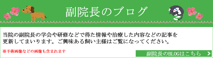 副院長のブログ