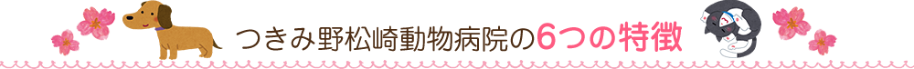 つきみ野松崎動物病院の6つの特徴