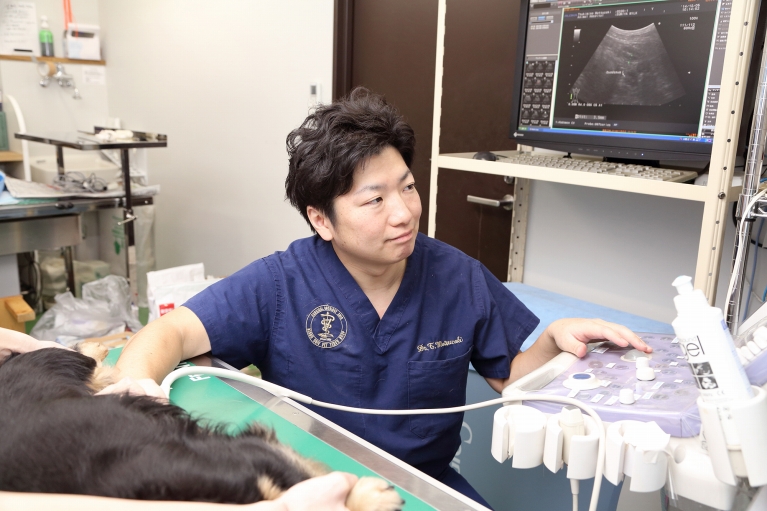 がんの専門医による治療