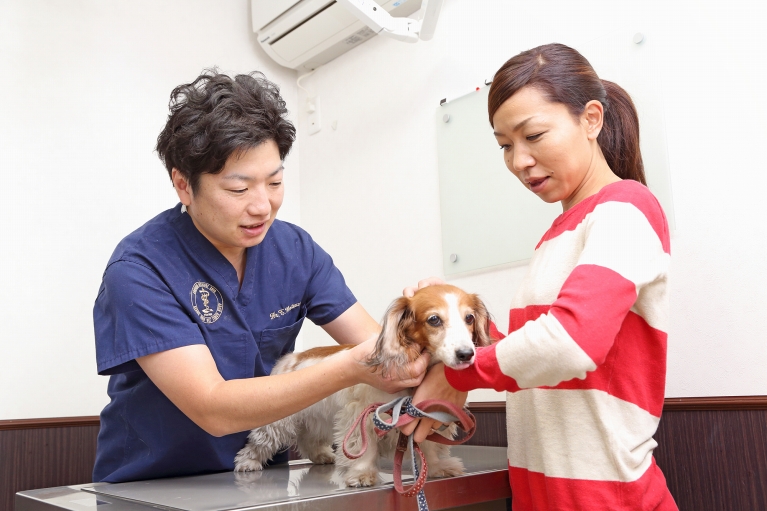 全身の健康チェック