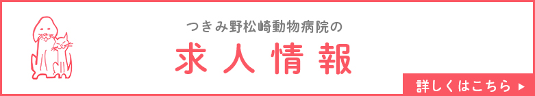 求人情報