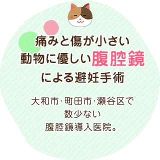 痛みと傷が小さい動物に優しい腹腔鏡による避妊手術