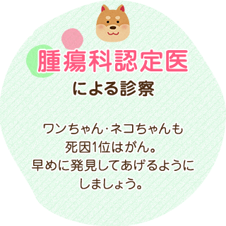 腫瘍科認定医による診察